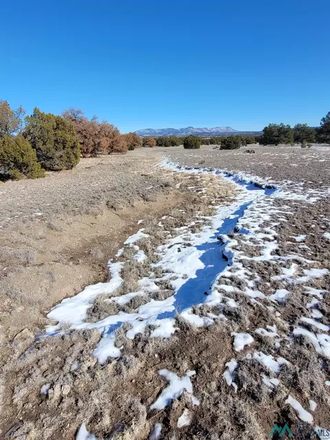 1 Jackass Ln, Datil, NM 87821 photo 19