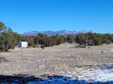 1 Jackass, Datil, NM 87821 photo 21