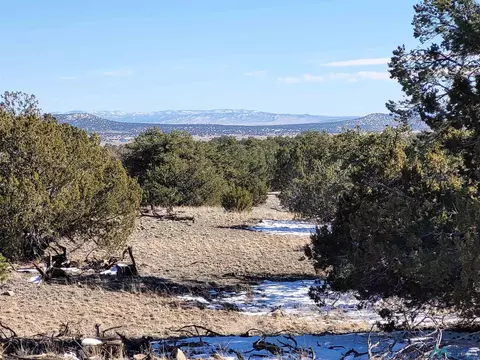 1 Jackass Ln, Datil, NM 87821 photo 27