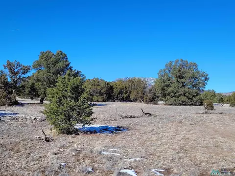 1 Jackass Ln, Datil, NM 87821 photo 4