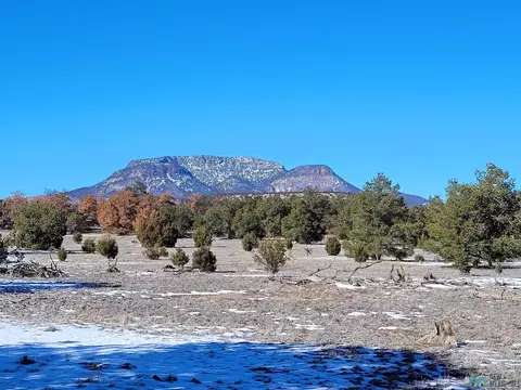 1 Jackass Ln, Datil, NM 87821 photo 9