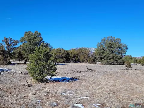 1 Jackass, Datil, NM 87821 photo 4