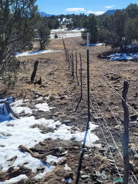 1 Jackass Ln, Datil, NM 87821 photo 26