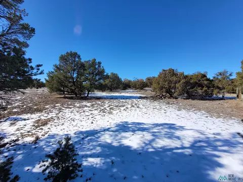 1 Jackass Ln, Datil, NM 87821 photo 35