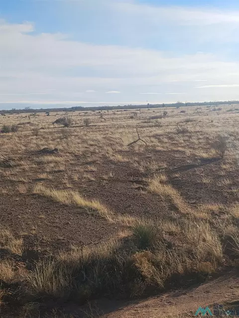 1111 Blazing Trl SE, Deming, NM 88030