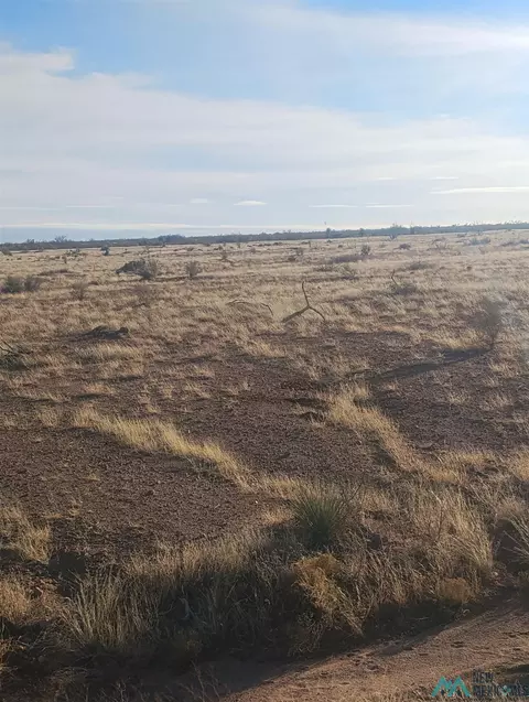 Nnnn Blazing Trail Se, Deming, NM 88030