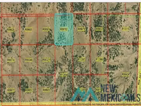 lot42 La Tinaja Trl, Pinehill, NM 87357