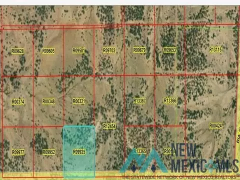 lot50 La Tinaja Trl, Pinehill, NM 87357
