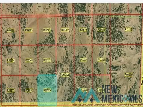 50 La Tinaja, Pinehill, NM 87357