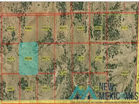 lot46 La Tinaja Trl, Pinehill, NM 87357