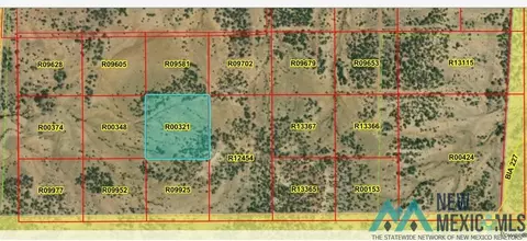 lot45 La Tinaja Trl, Pinehill, NM 87357
