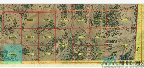lot48 La Tinaja Trl, Pinehill, NM 87357