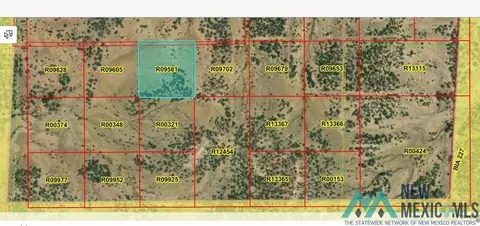 lot41 La Tinaja Trl, Pinehill, NM 87357