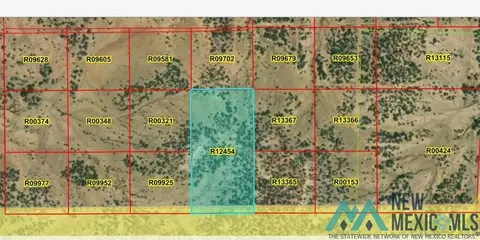 lot Tbd La Tinaja Trl, Pinehill, NM 87357