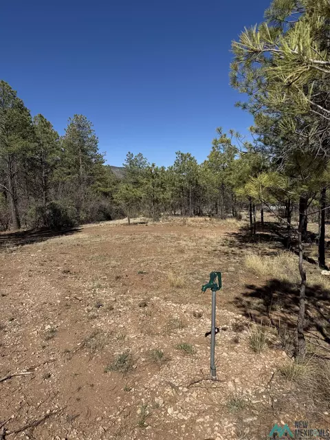 lot8 9 Winter Dr, Timberon, NM 88350