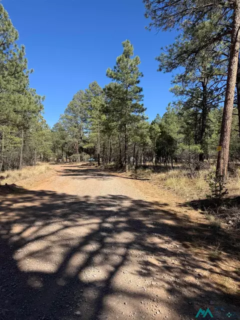 95 Tonto Dr, Timberon, NM 88350 photo 2