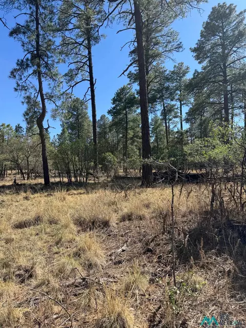 95 Tonto Dr, Timberon, NM 88350 photo 3
