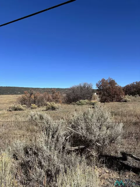 tbd County Rd 115, Canjillon, NM 87515