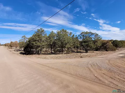 Nn Homestead Trail, Datil, NM 87821