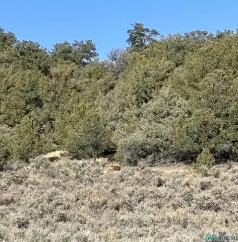 tbd Unit 4 Lot 40 Talavera, Tierra Amarilla, NM 87575