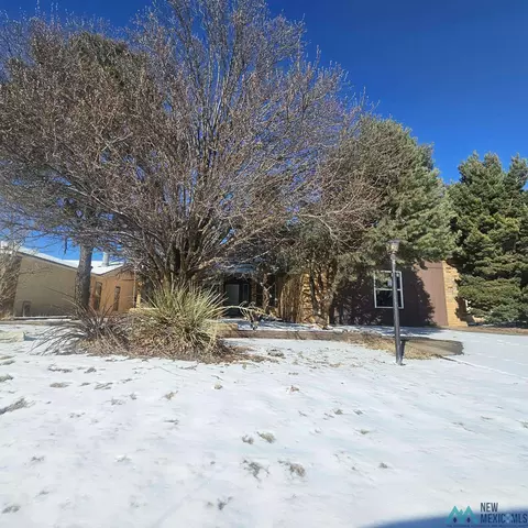 Other - 1908 Weeden Dr, Clovis, NM 88101 photo 24 of 27