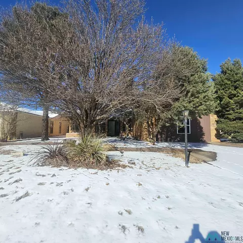 Other - 1908 Weeden Dr, Clovis, NM 88101 photo 3 of 27