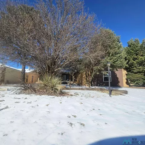 Other - 1908 Weeden Dr, Clovis, NM 88101 photo 23 of 27