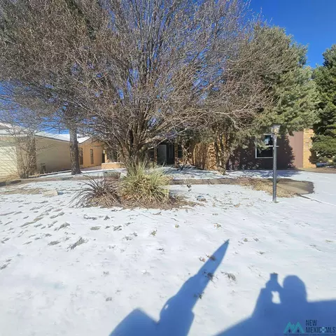 Other - 1908 Weeden Dr, Clovis, NM 88101 photo 21 of 27