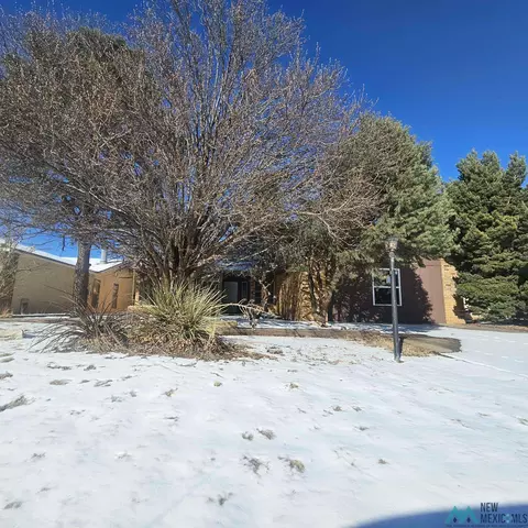 Other - 1908 Weeden Dr, Clovis, NM 88101 photo 22 of 27