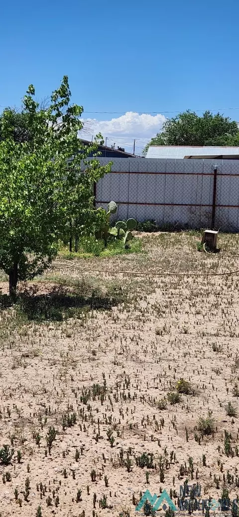 317 E Summit St, Roswell, NM 88201
