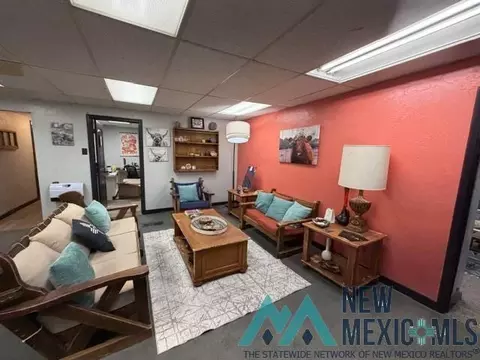 Other - 520 N Mitchell St, Clovis, NM 88101 photo 6 of 31