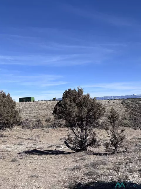 tbd Lot 96 UNIT 6, Tierra Amarilla, NM 87575