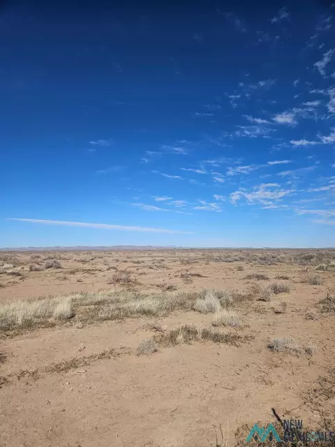 Nnn Palomas Rd Se, Deming, NM 88030