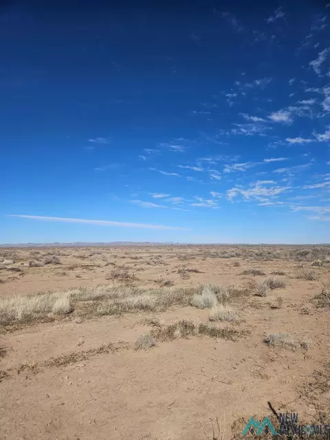 Palomas Rd Se, Deming, NM 88030
