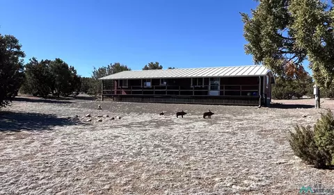 12 Bridle Trail Rd, Quemado, NM 87829