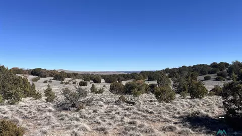 tbd Cimarron Drive Rd, Quemado, NM 87829