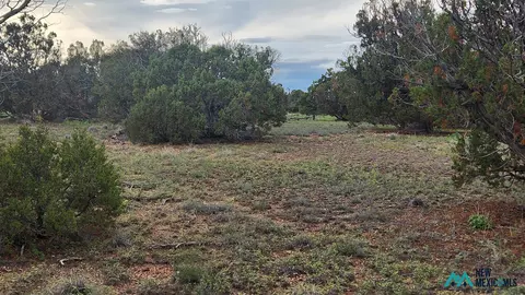 115 Cimarron Dr #96, Quemado, NM 87829
