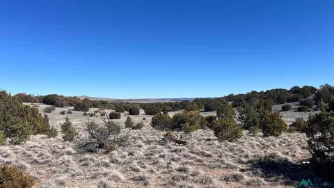 Cimarron Drive, Quemado, NM 87829