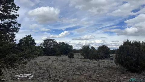 tbd Native Drum Pass Rd, Fence Lake, NM 87315