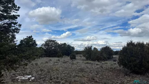 Native Drum Pass, Fence Lake, NM 87315