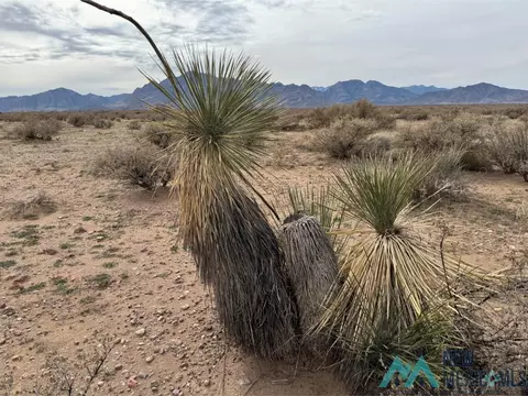 tbd Estrellas Parkway Rd, Rodeo, NM 88056