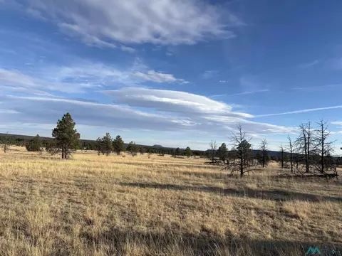 20 Acres Falls Creek Meadow County Rd A16c Rd, Mineral Hill, NM 87701
