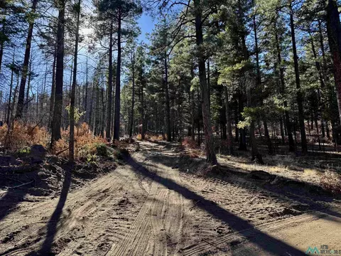 4 41 W Canyon Loop Mora, Mora, NM 87732