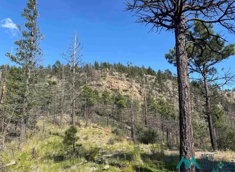 4 W Canyon Loop Mora, Mora, NM 87732