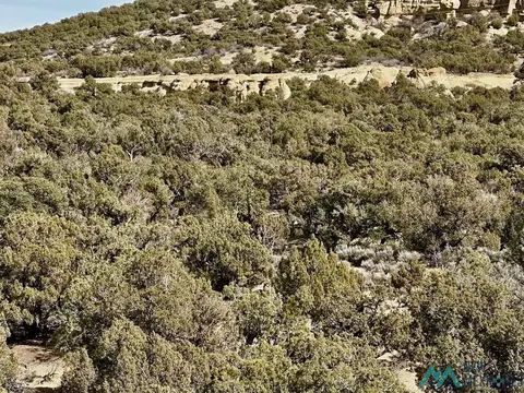 Cr 2550, Aztec, NM 87410