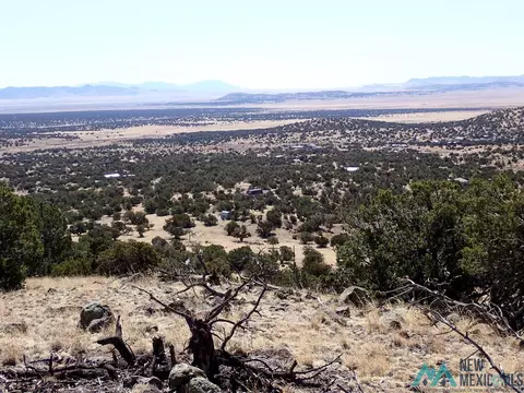Nn Tanglewood Circle, Datil, NM 87821