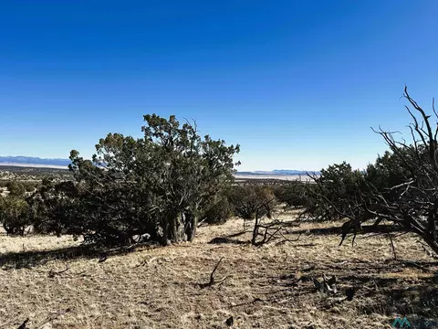 Yy Tanglewood Circle, Datil, NM 87821