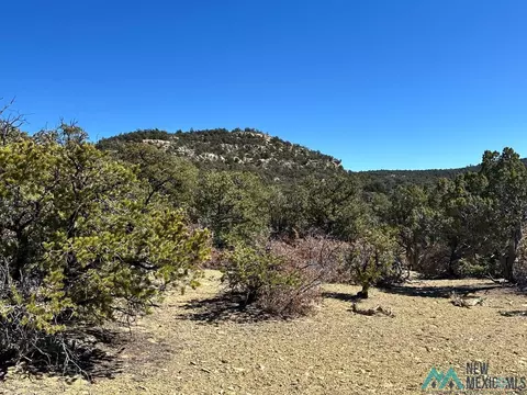 Nn Double J Court, Pie Town, NM 87827