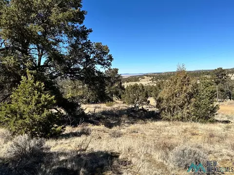 Nn Latigo Loop, Pie Town, NM 87827