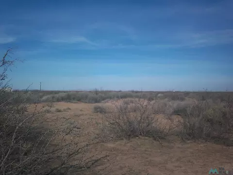 Nnnn Cobre Road Se Road, Deming, NM 88030